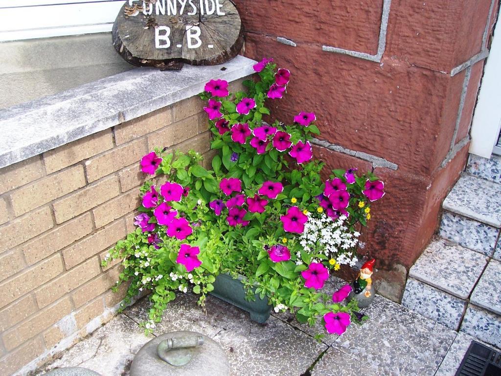 Sunnyside B&B Balloch Zewnętrze zdjęcie